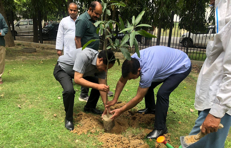 UP Industrial Development Authority observes World Environment Day